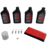 Kit de Afinación con Aceite 10W-30 Original para Versa