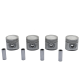 Kit de 4 Pistones Estándar con Pernos de Motor con 8 Válvulas Moresa para Caribe 1.6L