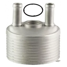 Radiador de Aceite de Transmisión Automática Peturstar para Sharan, Jetta, Alhambra