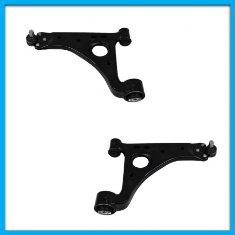 Juego de 2 Horquillas Delanteras Inferiores para Trax, Encore Yokomitsu con Rotula y Bujes