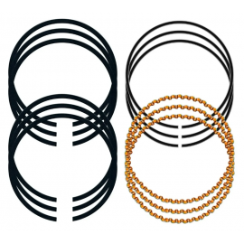 Kit de Anillos de Pistón de Motor 0.20  Hastings para Caribe, Atlantic