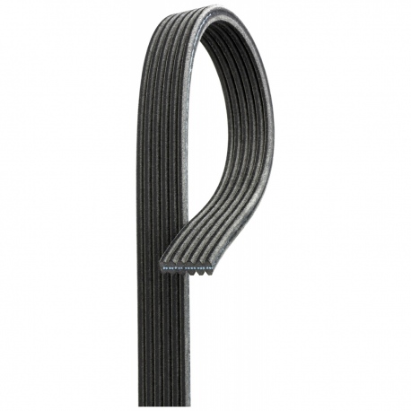 Banda Acanalada de Alternador Micro-V para F-350 6.2L