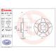 Disco Sólido de Frenos Delanteros con Ranuras Brembo para Atlantic, Caribe, Golf A2, Jetta A2, Pointer G2, Corsar