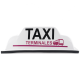 Copete de Taxi CDMX Oficial "Terminales"