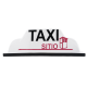 Copete de Taxi CDMX Oficial "Sitio"