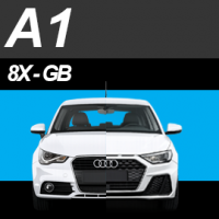 A1