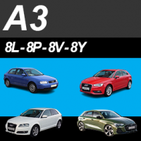 A3
