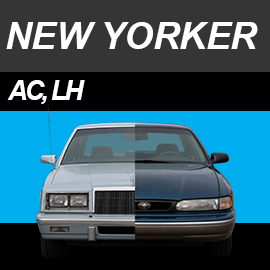 New Yorker
