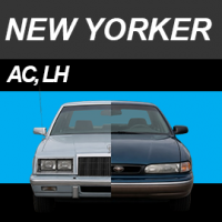New Yorker