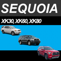 Sequoia